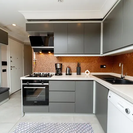 Luxury 2-bedroom Bosphorus View With Private Parking Apartament