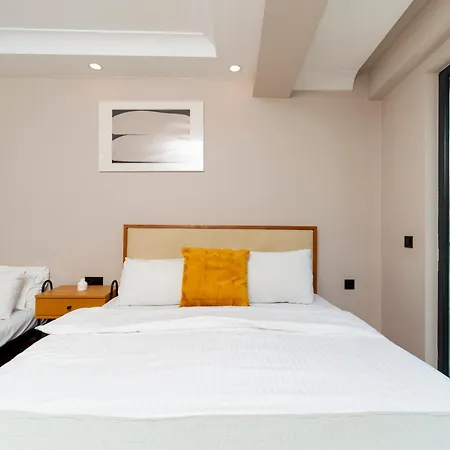 Lägenhet Luxury 2-bedroom Bosphorus View With Private Parking